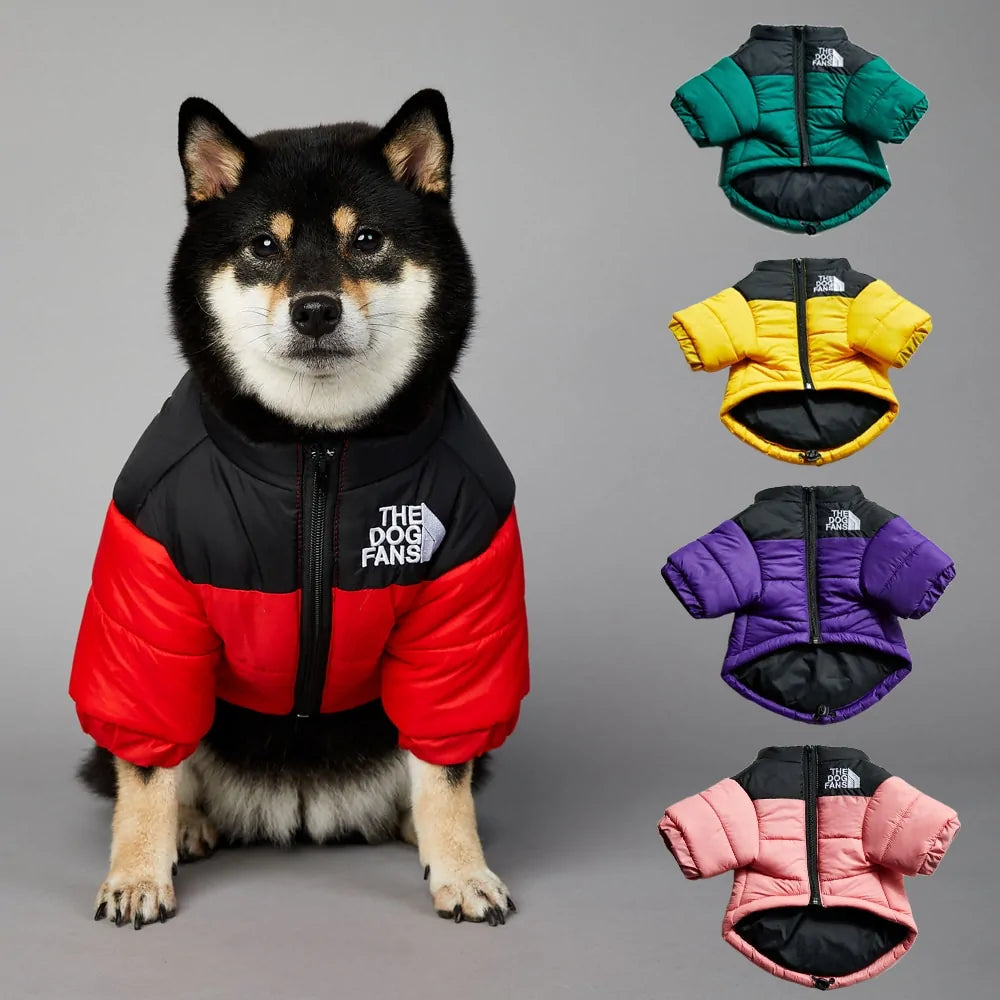 Schöne The Dog Face Winterjacke